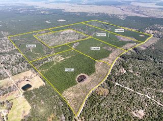 16 County Rd 4415, Spurger, TX 77660