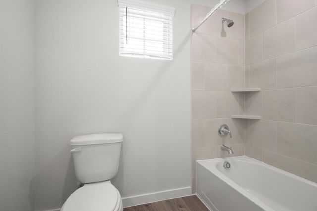 26243 Venus Trap Trail, Katy, TX 77493