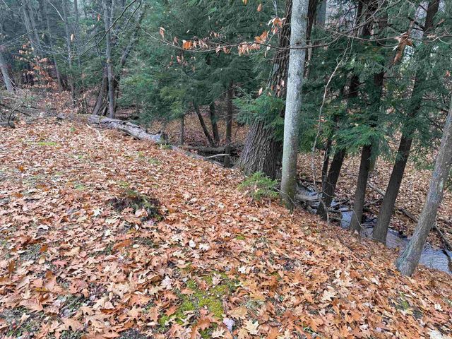 9544 W 34 Road, Harrietta, MI 49638