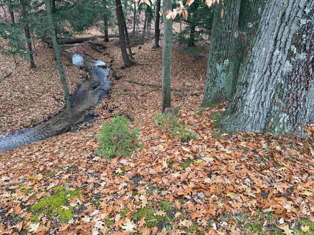 9544 W 34 Road, Harrietta, MI 49638