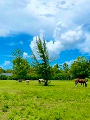 12398 Tangerine Boulevard, West Palm Beach, FL 33412