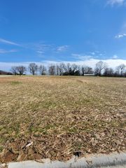 Lot 47 Vintage Pointe, Springfield, MO 65809