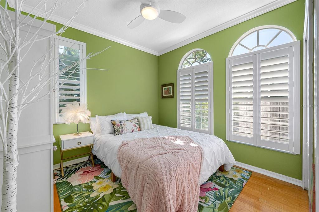 Image 39 of property listing at 237 7TH AVENUE N 2, St Petersburg, FL 33701