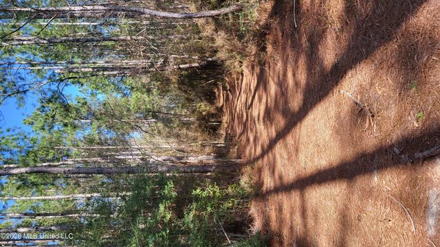 Tbd Jake Bell Road, Gulfport, MS 39503