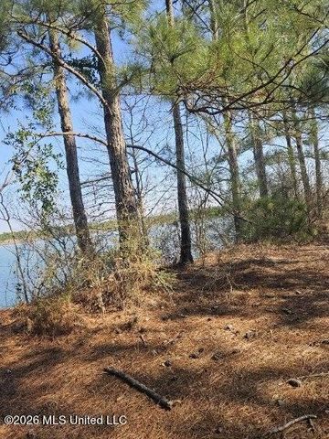 Tbd Jake Bell Road, Gulfport, MS 39503