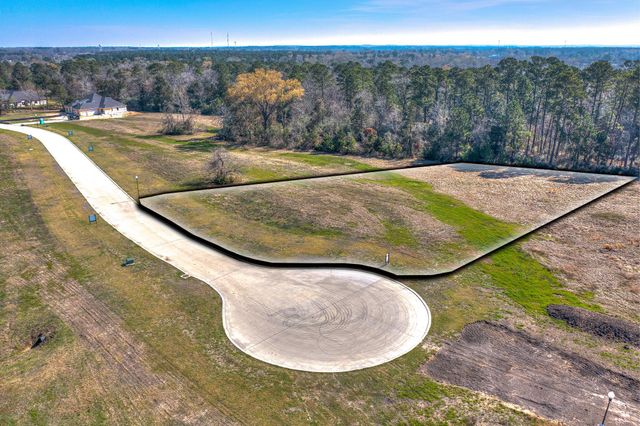 189 Homestead Hill Road, New Waverly, TX 77358