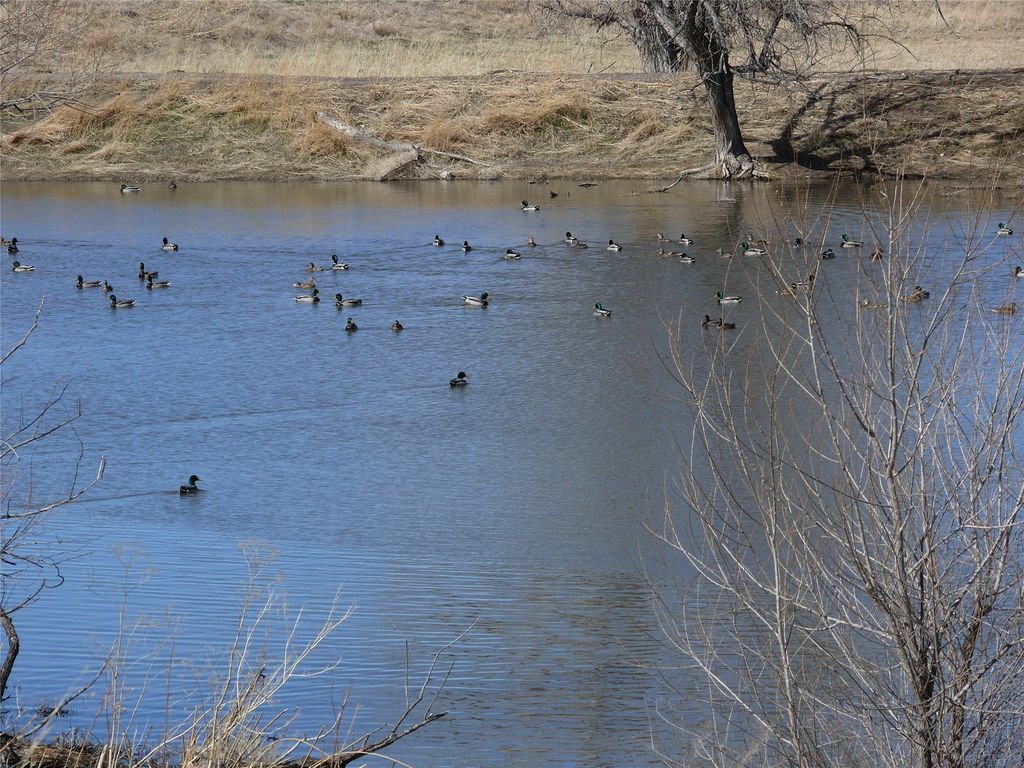 tbd tbd, Cascade, MT 59421 photo 14