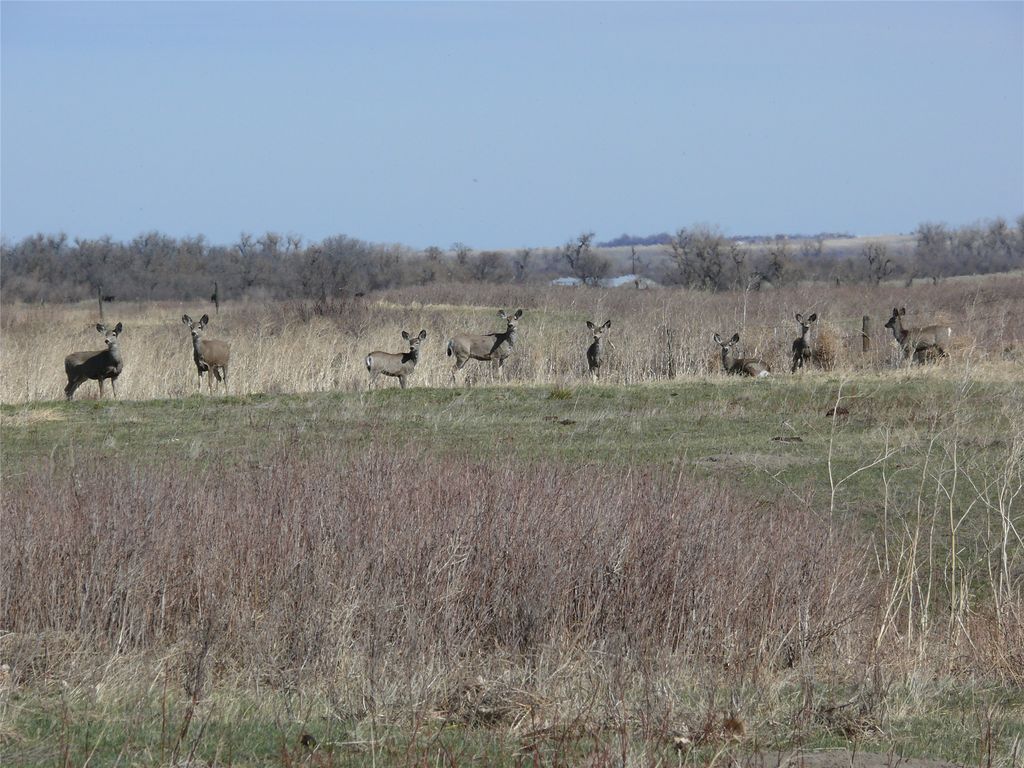 tbd tbd, Cascade, MT 59421 photo 23