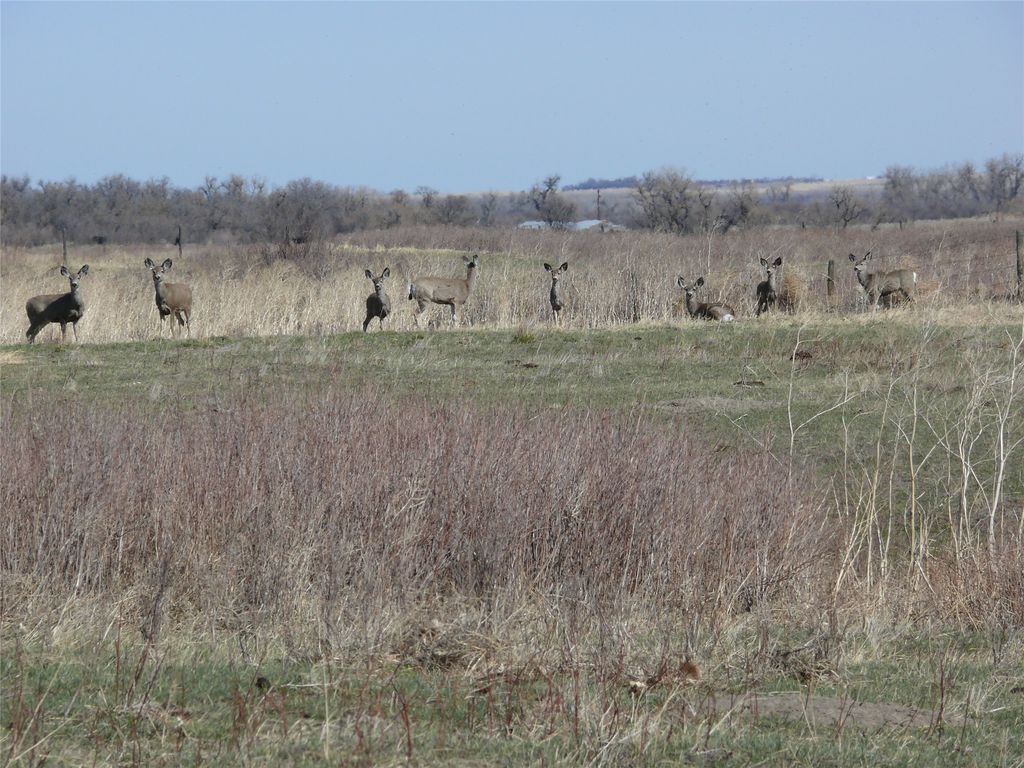 tbd tbd, Cascade, MT 59421 photo 24