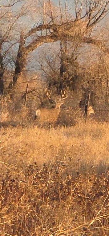 tbd tbd, Cascade, MT 59421 photo 4