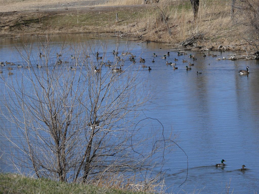 tbd tbd, Cascade, MT 59421 photo 5