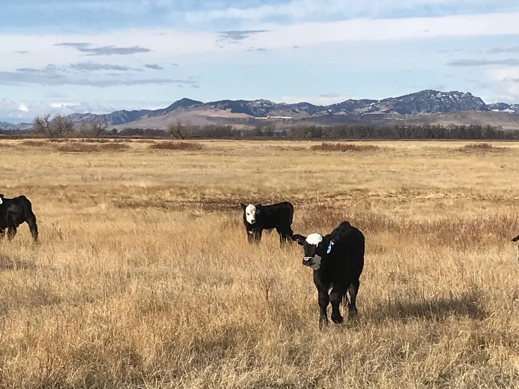 tbd tbd, Cascade, MT 59421 photo 7