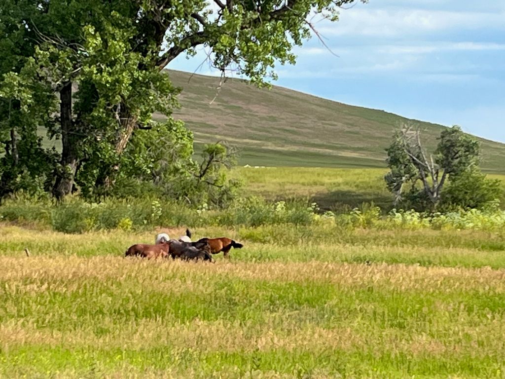 tbd tbd, Cascade, MT 59421 photo 8