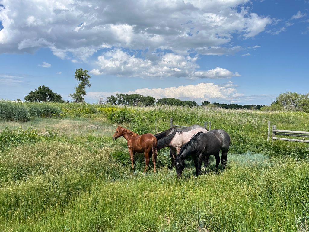 tbd tbd, Cascade, MT 59421 photo 9