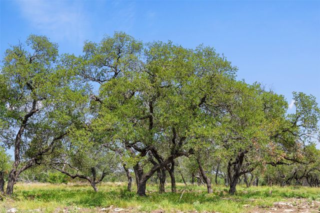 Lot 7 Pedernales Canyon TRL Lot 7, Spicewood, TX 78669