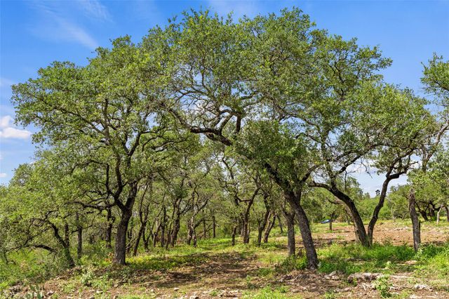 Lot 7 Pedernales Canyon TRL Lot 7, Spicewood, TX 78669