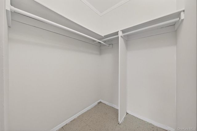 1042 Fox Street, Bronx, NY 10459