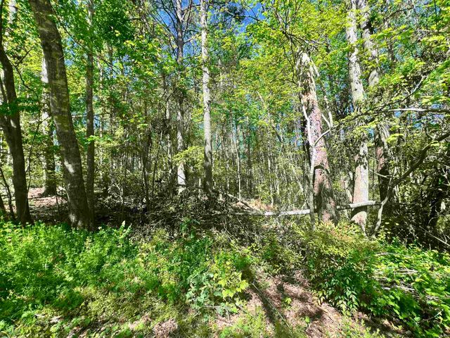 Hampton Boulevard, Gaffney, SC 29341