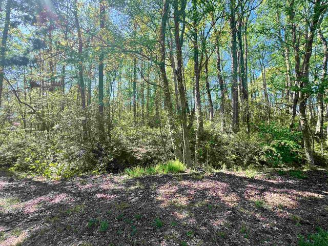 Hampton Boulevard, Gaffney, SC 29341