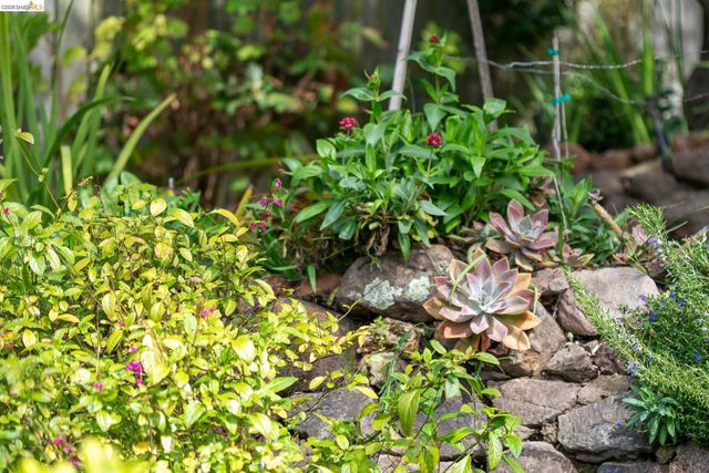 244 Cross Rd, Oakland, CA 94618