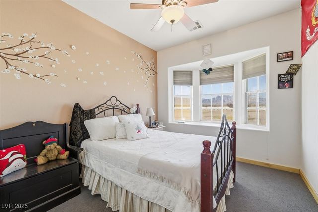 3599 East Poplar Avenue, Amargosa Valley, NV 89020