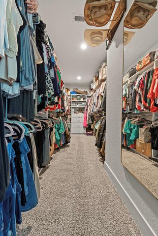 10009 Gray Jay Court, Conroe, TX 77384