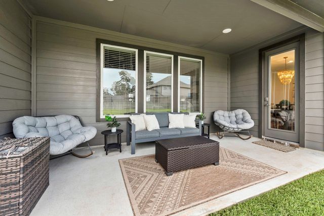 10009 Gray Jay Court, Conroe, TX 77384