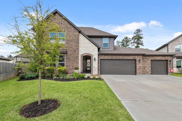 10009 Gray Jay Court, Conroe, TX 77384
