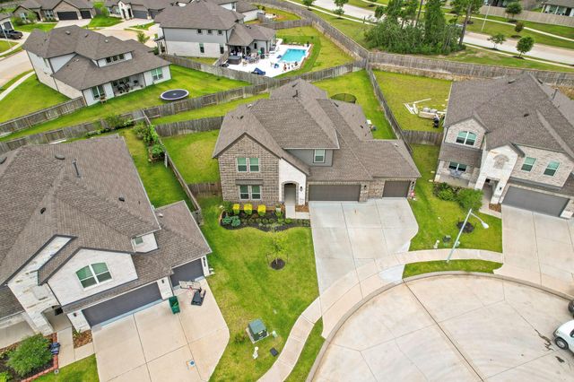 10009 Gray Jay Court, Conroe, TX 77384