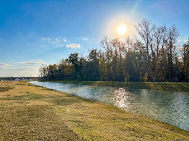 926 Meadow Crossing Dr, Gonzales, LA 70737