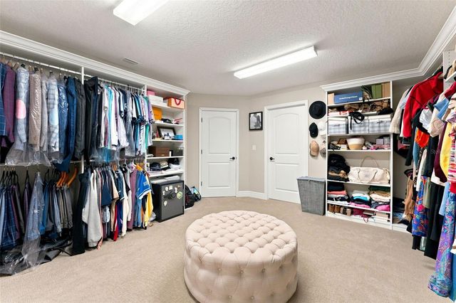 13249 WILDFLOWER MEADOW DRIVE, Riverview, FL 33579