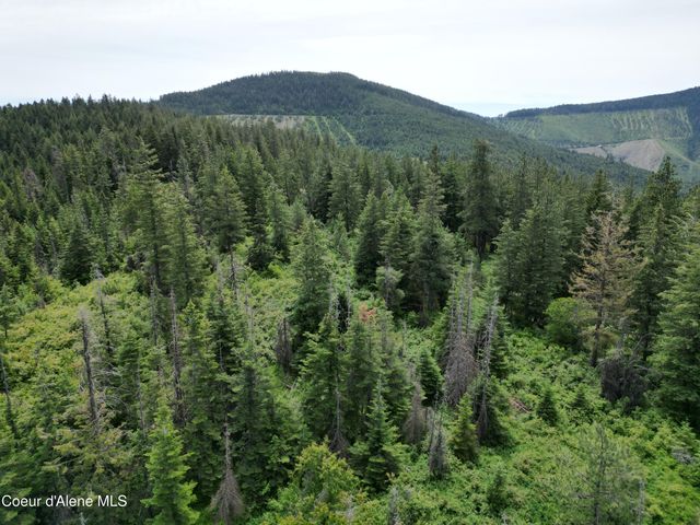 NKA INITIAL PEAK RD, Cataldo, ID 83810 property photo