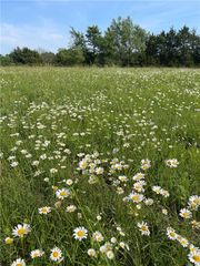 Madison 7125, Hindsville, AR 72738