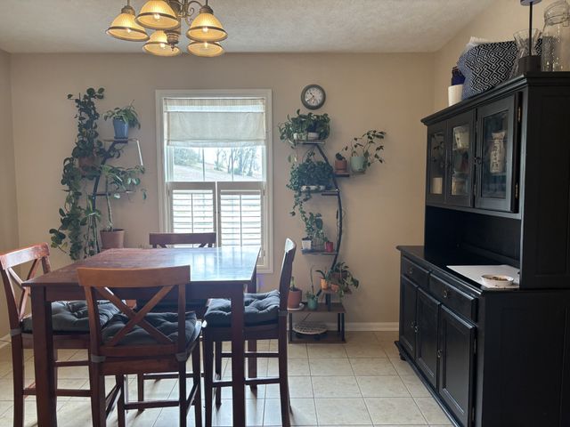 1739 Collins Hollow Rd, Lewisburg, TN 37091