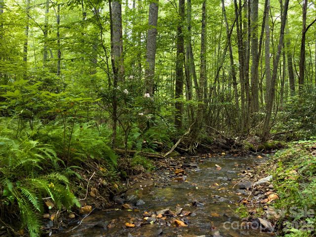 511 Emerald Mine Road, Spruce Pine, NC 28777