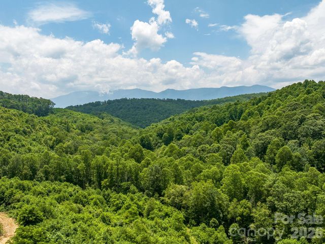 511 Emerald Mine Road, Spruce Pine, NC 28777