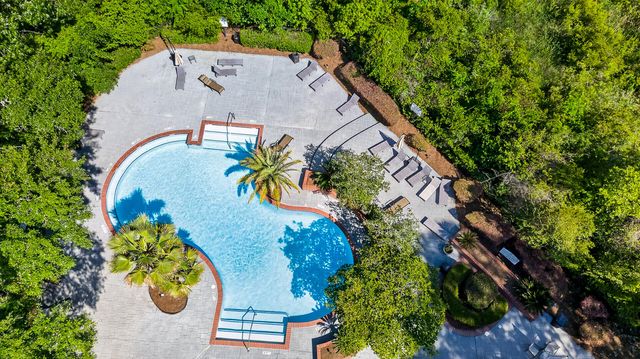 700 Daniel Ellis Drive Apt 12302, Charleston, SC 29412