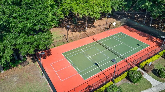 700 Daniel Ellis Drive Apt 12302, Charleston, SC 29412