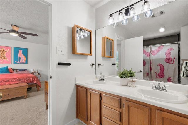 8505 Copano DR, Austin, TX 78749