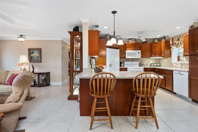 98 MOCKINGBIRD LANE, Eustis, FL 32726