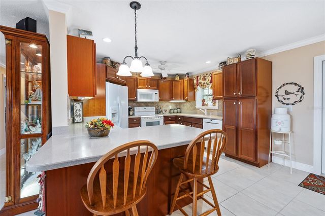 98 MOCKINGBIRD LANE, Eustis, FL 32726