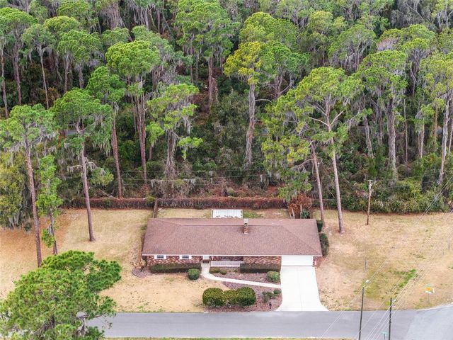 98 MOCKINGBIRD LANE, Eustis, FL 32726