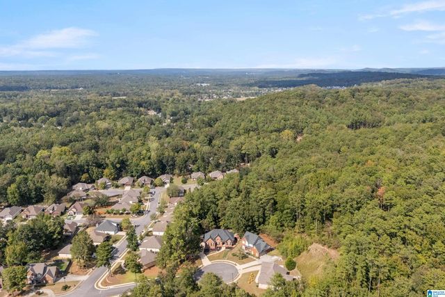 105 RED BAY DRIVE, Alabaster, AL 35114