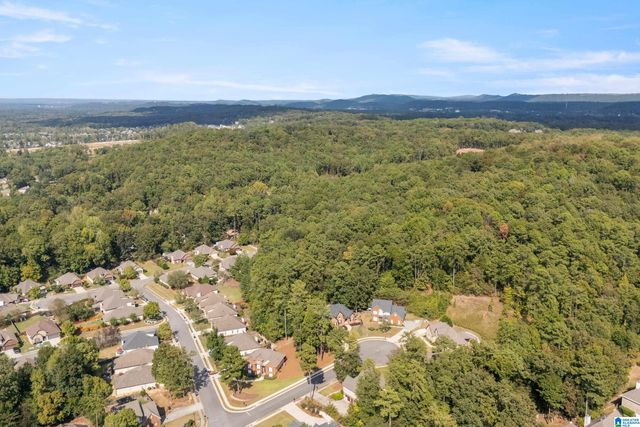 105 RED BAY DRIVE, Alabaster, AL 35114