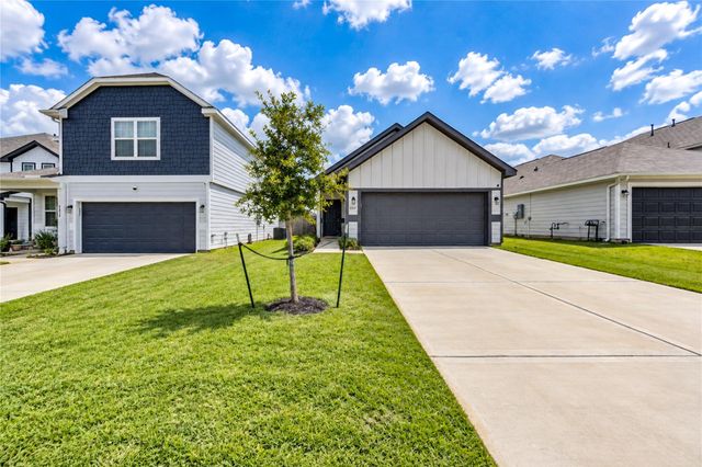 2317 Green Sturgeon Court, Conroe, TX 77384