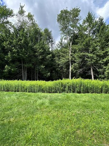 384 Lenape Lake Road, Livingston Manor, NY 12758