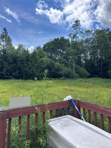384 Lenape Lake Road, Livingston Manor, NY 12758