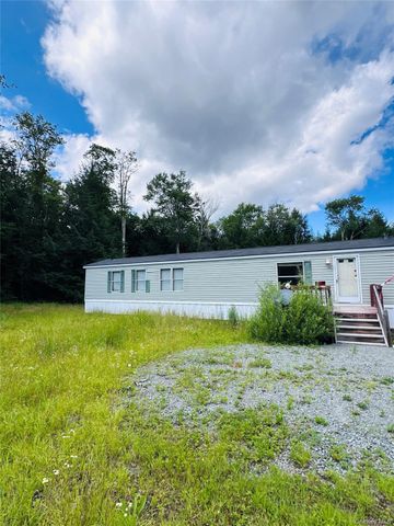 384 Lenape Lake Road, Livingston Manor, NY 12758