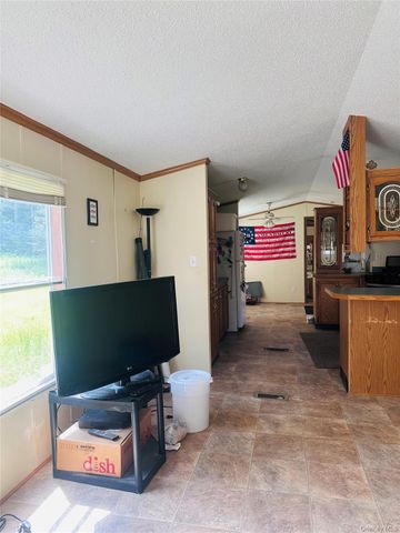 384 Lenape Lake Road, Livingston Manor, NY 12758