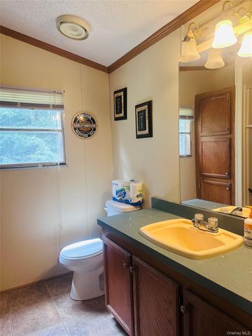 384 Lenape Lake Road, Livingston Manor, NY 12758
